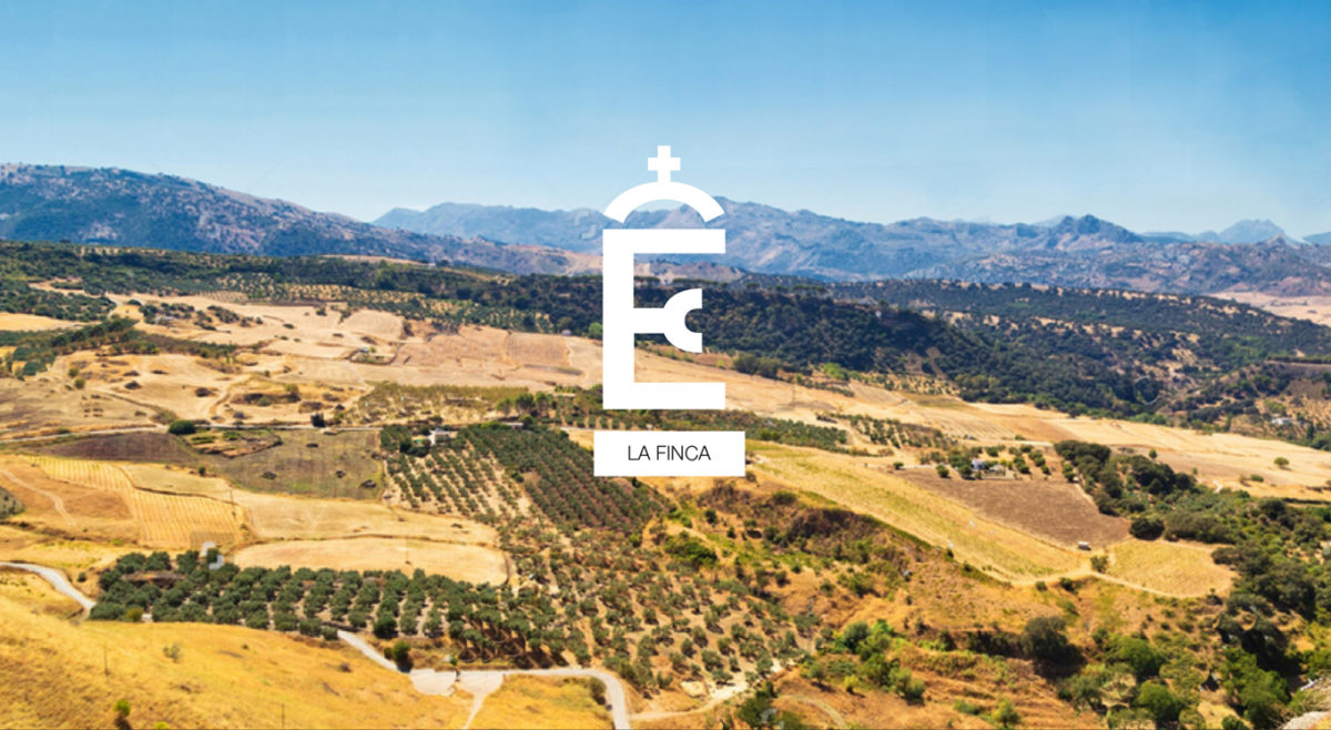 LANDING_ELCAMPILLO